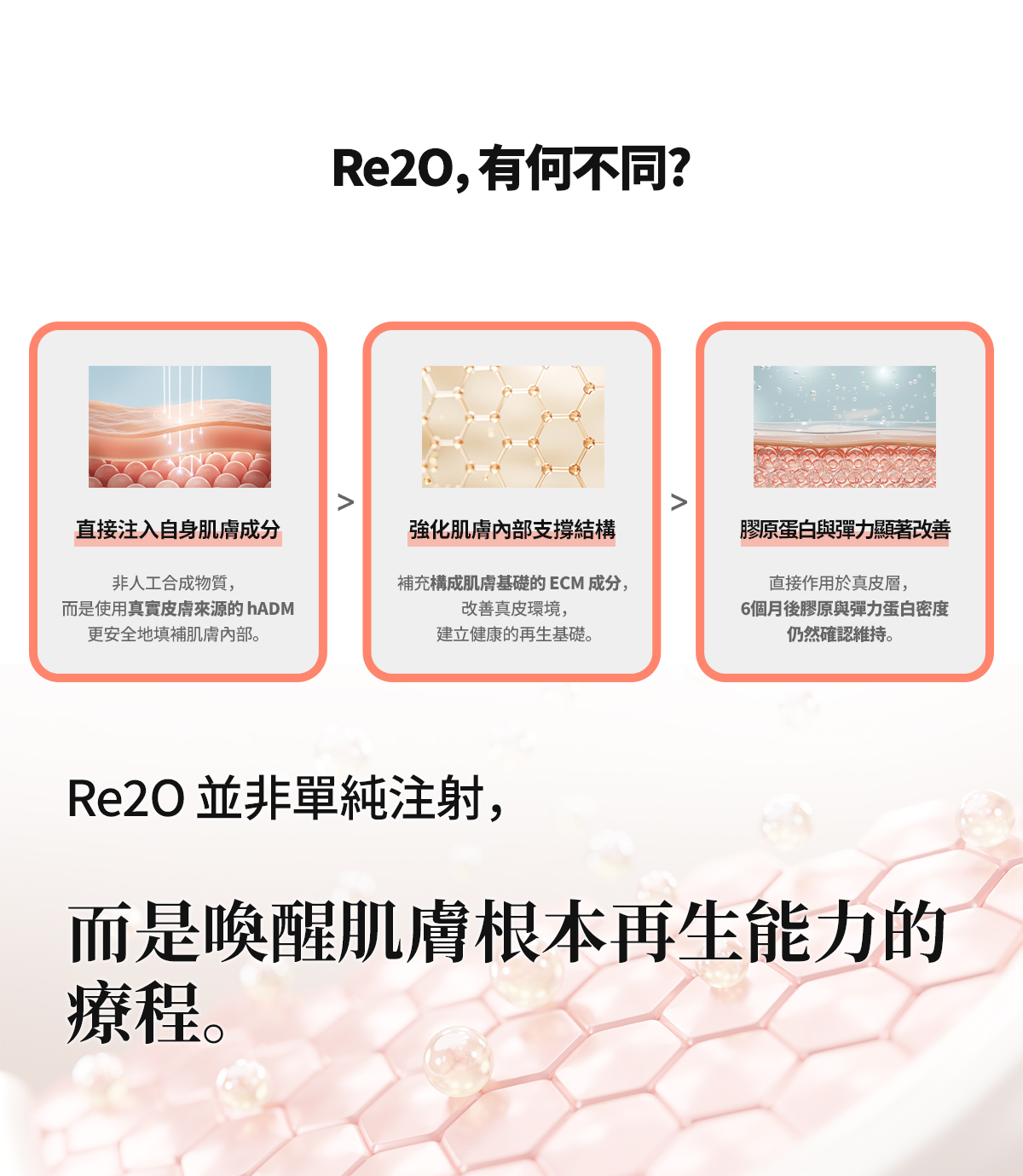 Re2O 是喚醒肌膚根本再生能力的療程。