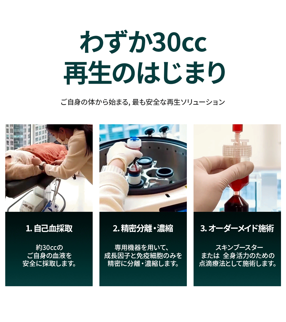 ステムセルパッケージ