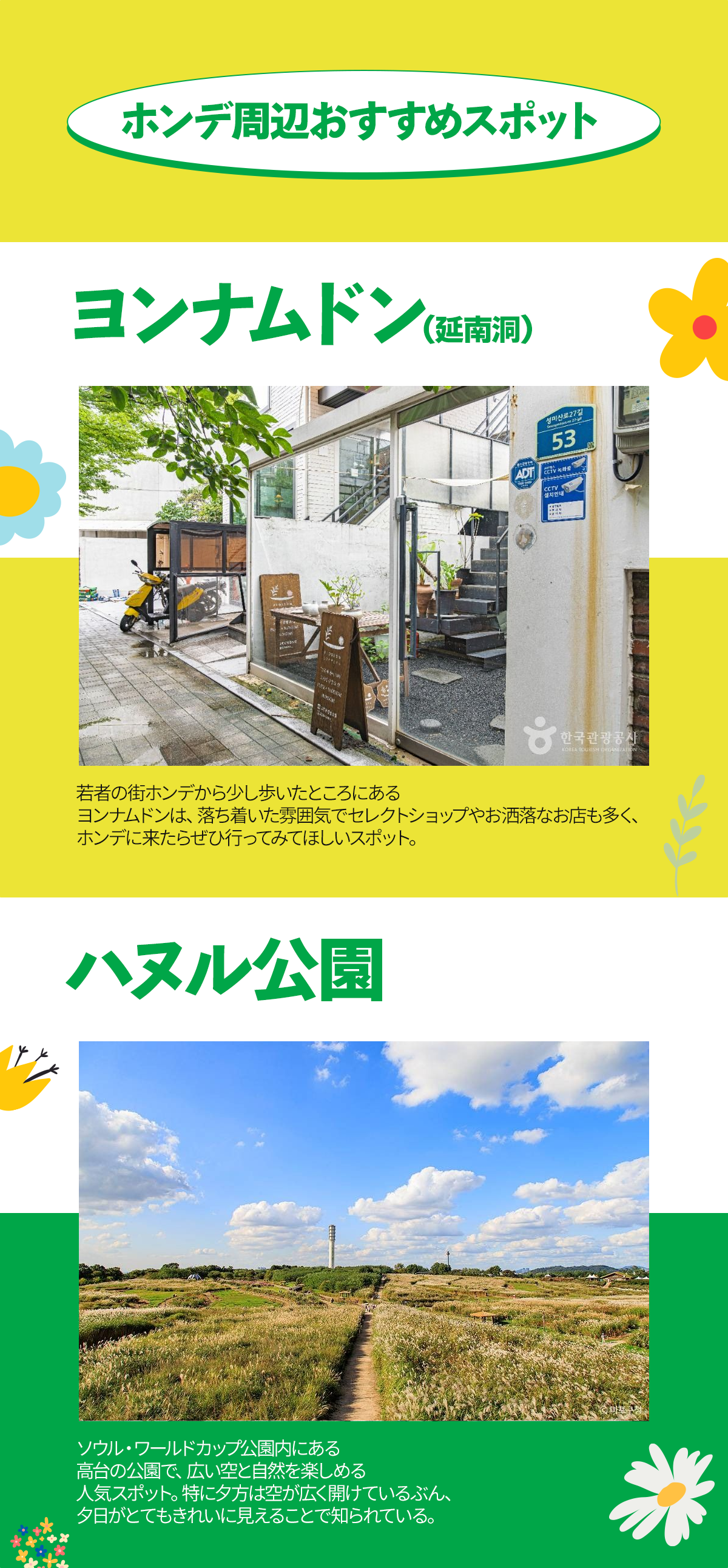 ヨンナムドン, ハヌル公園, ホンデおすすめ