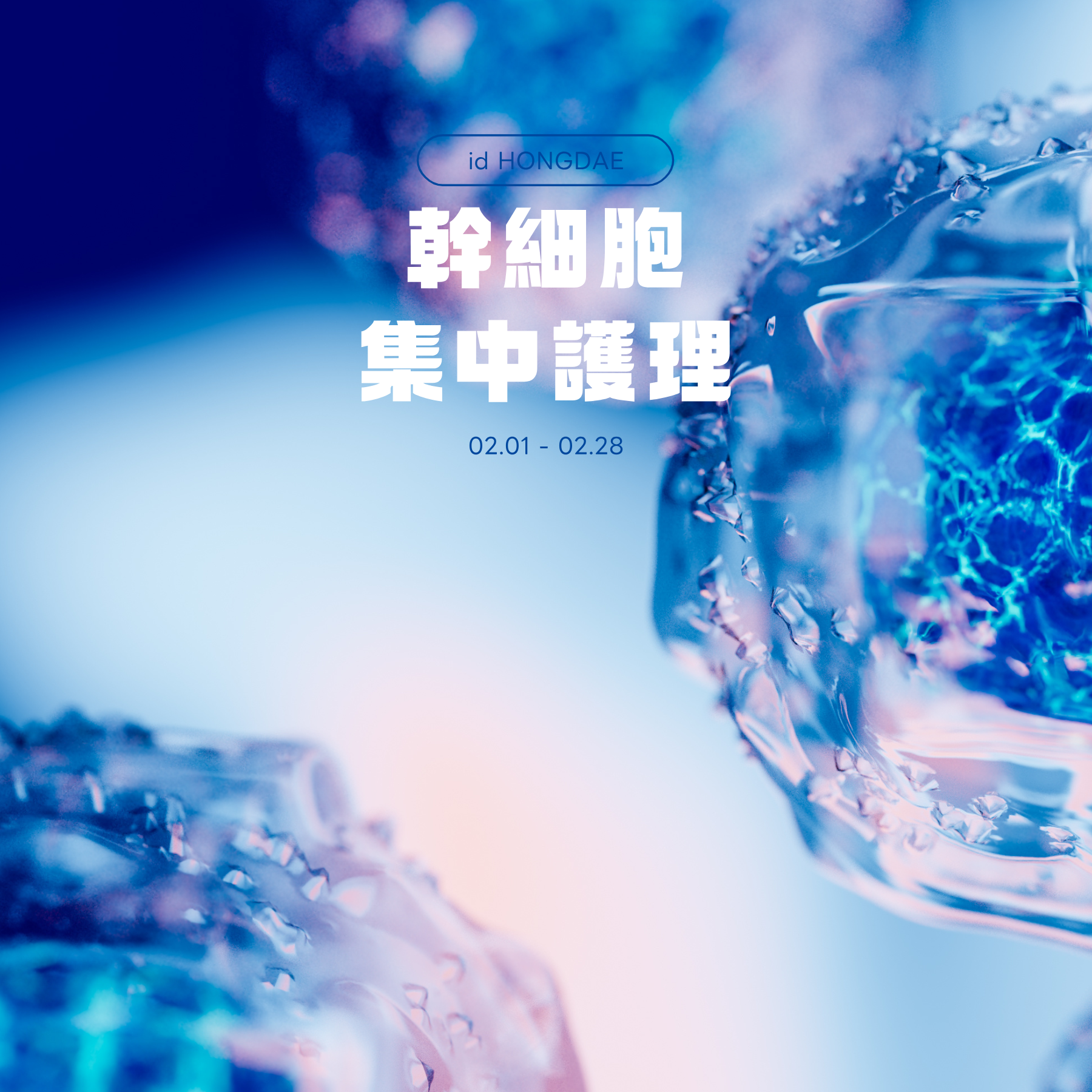 幹細胞集中護理